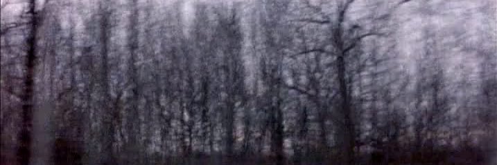 zerobot's profile banner image