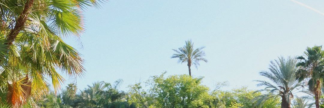 𝘋𝘪𝘵𝘢 𝘒𝘢𝘳𝘢𝘯𝘨 banner