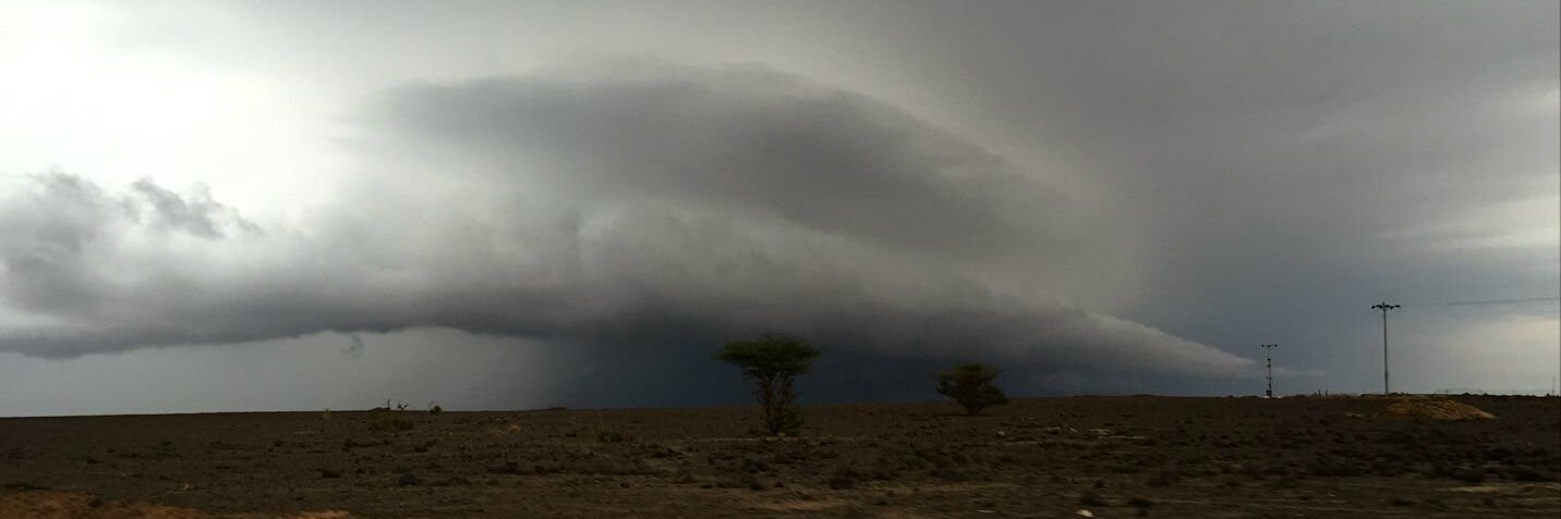 بـجــاد الـصــاعــدي (ابـ ـو عـ ـمـ ـر ) banner