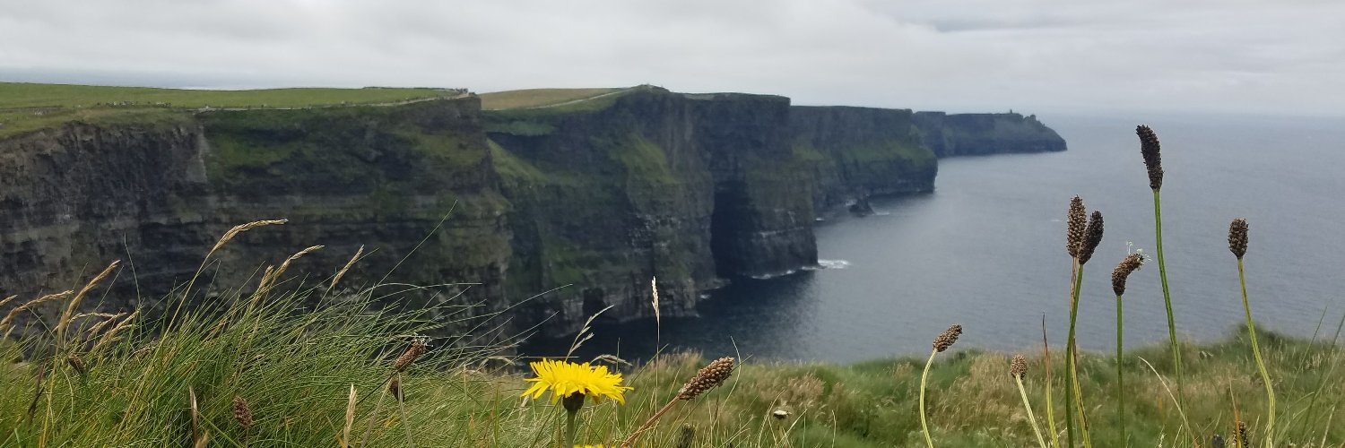 dmdonnellan's profile banner image