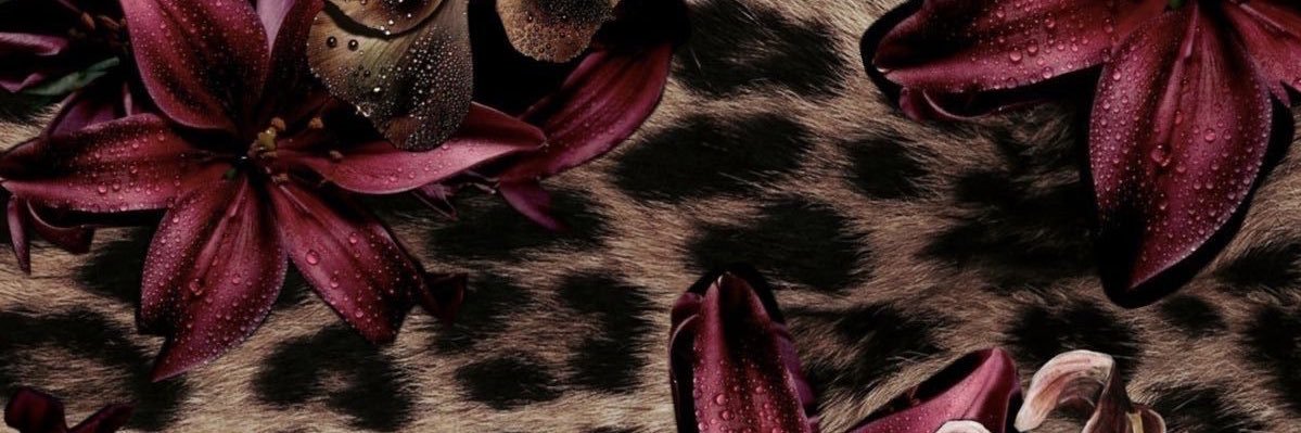 thepinkswan5's profile banner image
