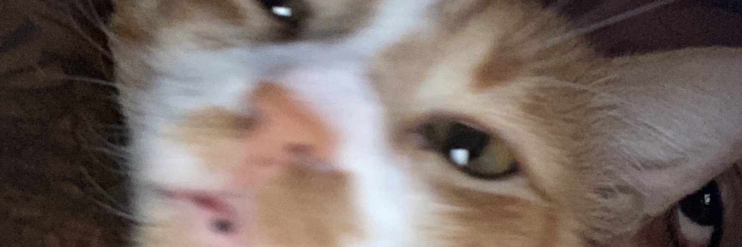 gabriella banner
