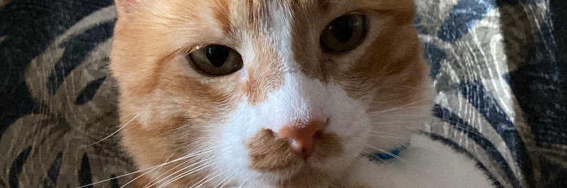 mellogab_'s profile banner image