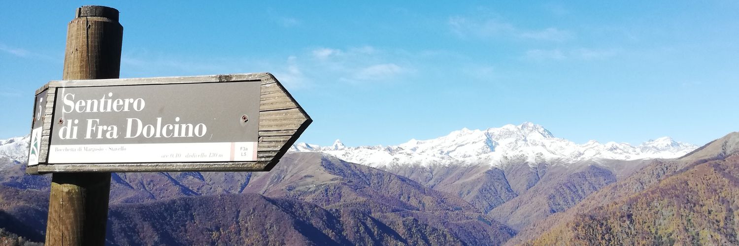 Alberta Giorgi banner