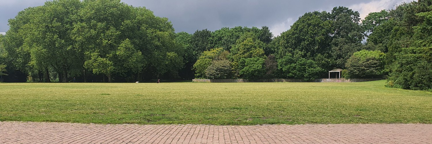 Munevver Serdarogullari banner