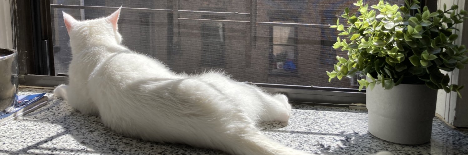 Emily Vortherms banner