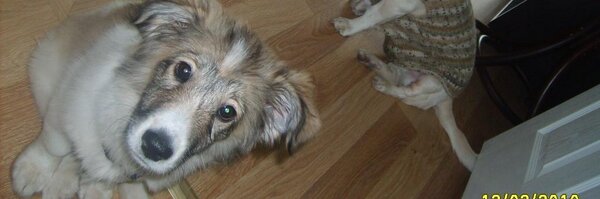 settimeoutnow Profile Banner