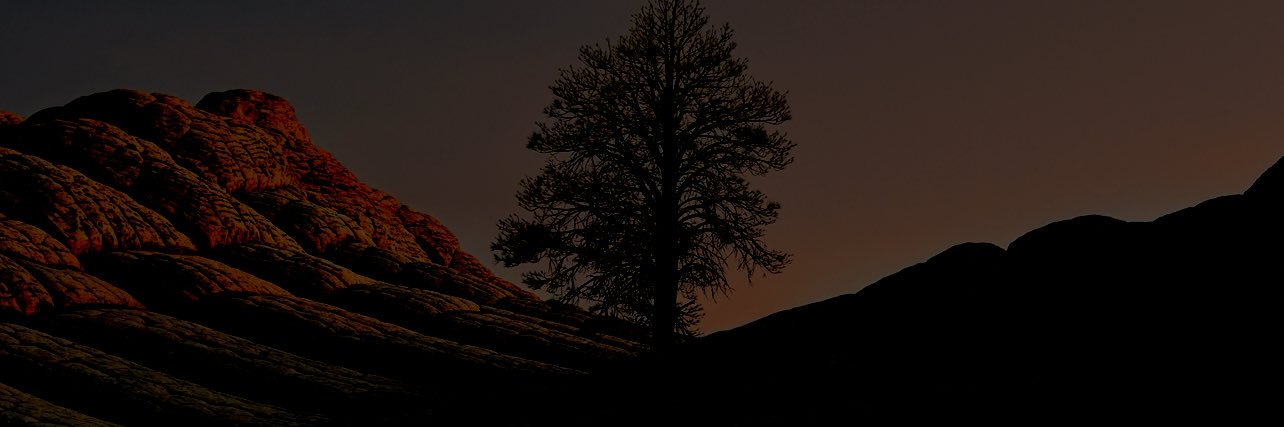r4qqq's profile banner image
