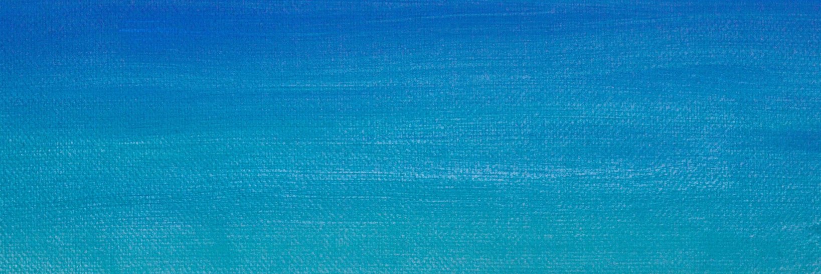 C0cci_Fly's profile banner image