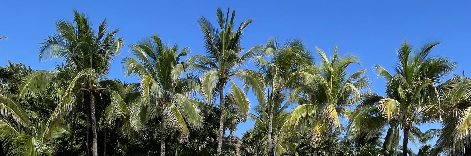 OrquideaVeloz's profile banner image