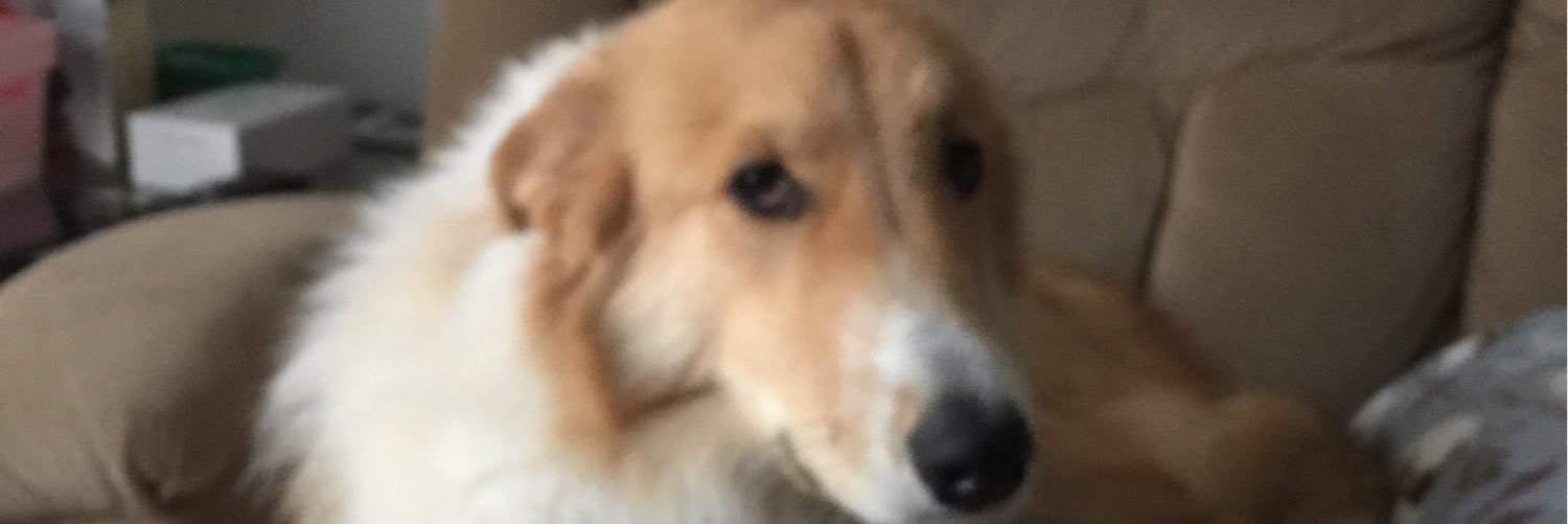 Carmen banner