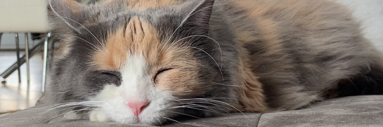ChristinaIsaia's profile banner image