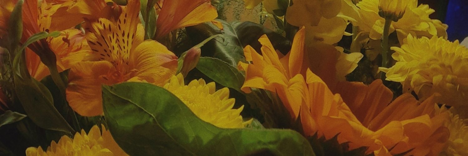 tvfnm's profile banner image