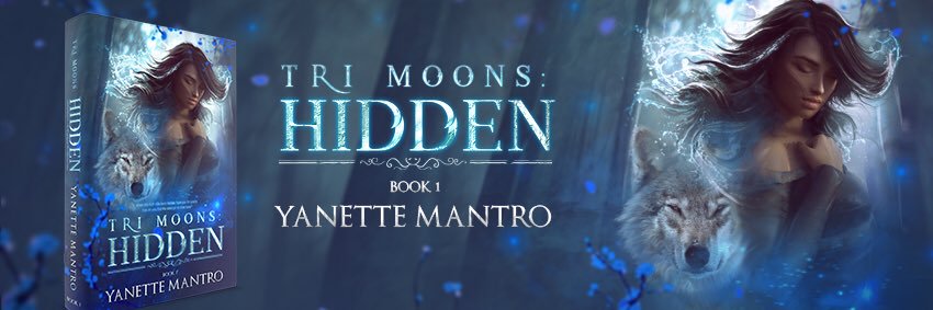 YanetteMantro's profile banner image