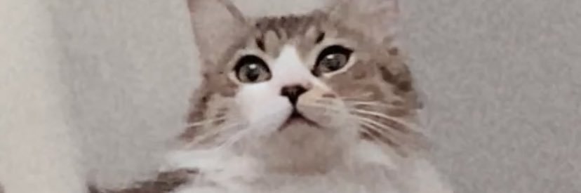 eitay_i's profile banner image