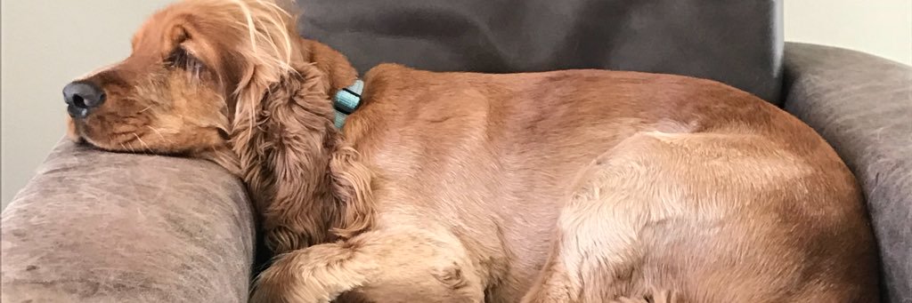 jlgersh's profile banner image