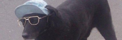 davhay's profile banner image
