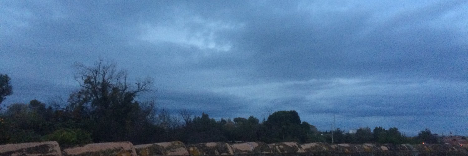 Rodrigo Etxailarena banner