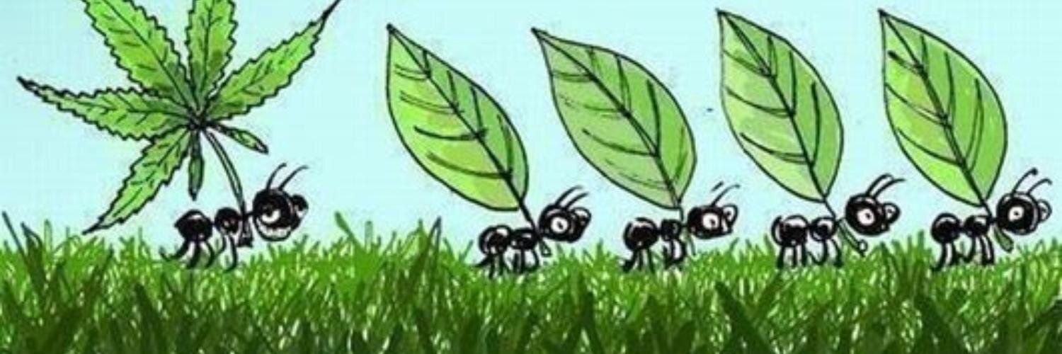 MariaFrdz's profile banner image