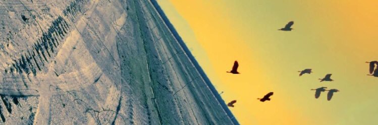 lil_sinoda's profile banner image