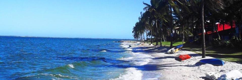 Giovanne_Gebe's profile banner image