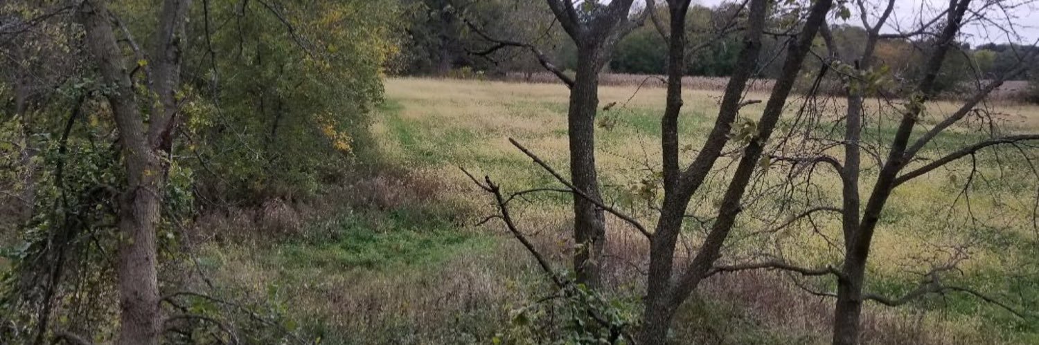 laura_feick's profile banner image