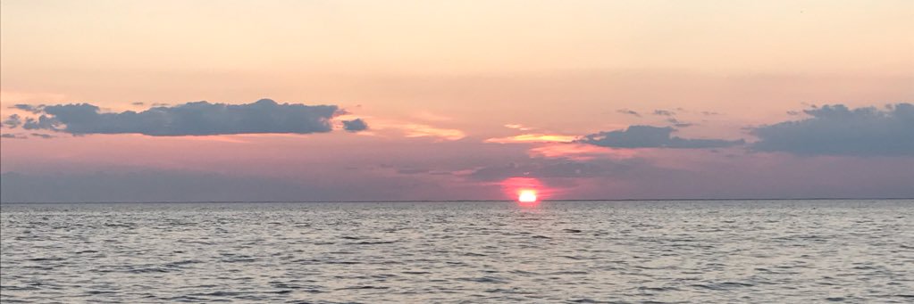 marleedevroy's profile banner image