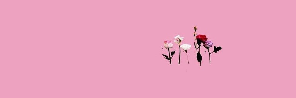 amyysquires's profile banner image
