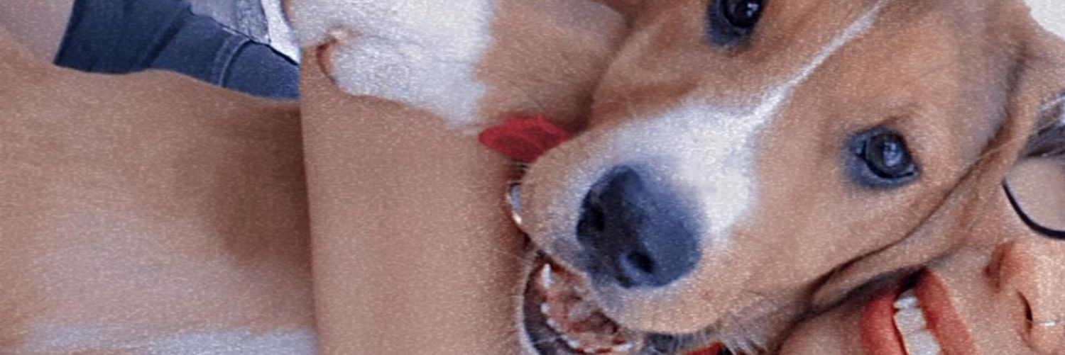agussbravo's profile banner image