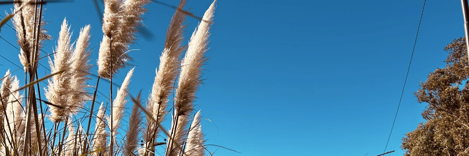 MarquezDaai's profile banner image