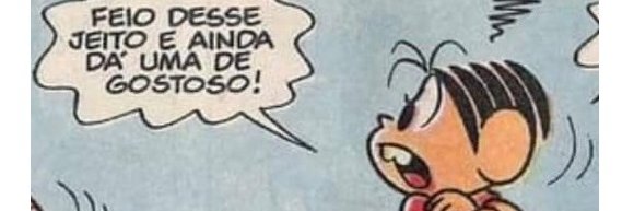Blogueiro Fitless banner