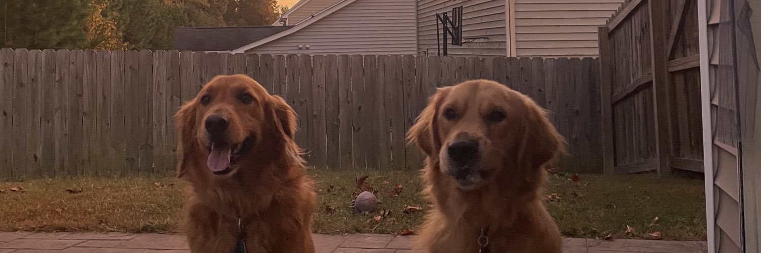 McVHammer's profile banner image