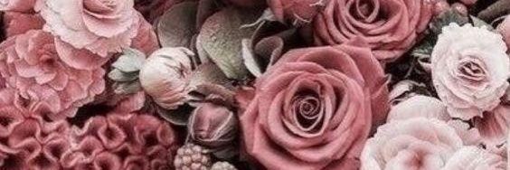 th_taher's profile banner image