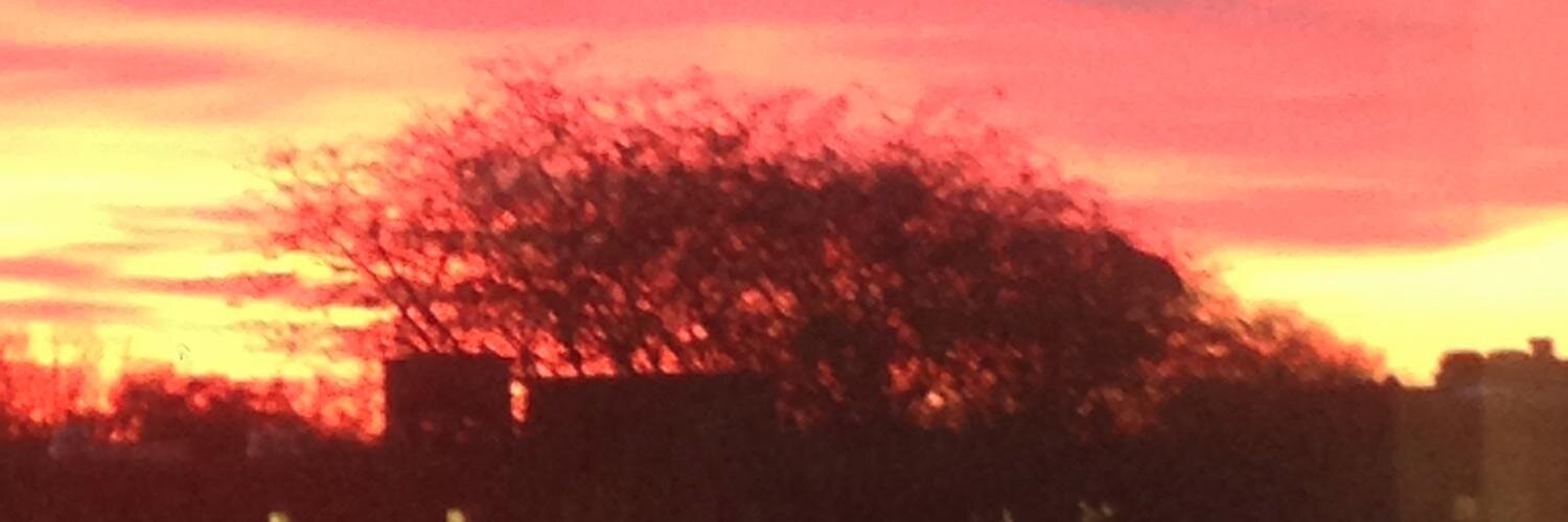 ShannonHoppy's profile banner image