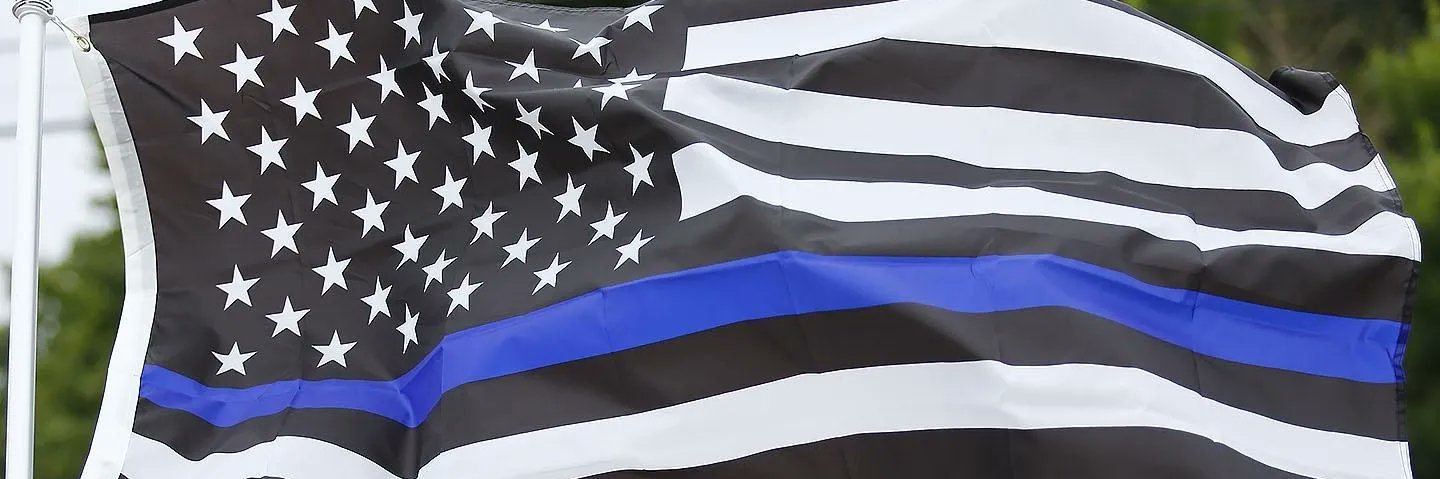 Terri Sisinni banner