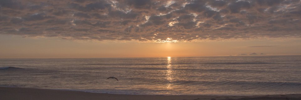 DwayneSmithAV's profile banner image