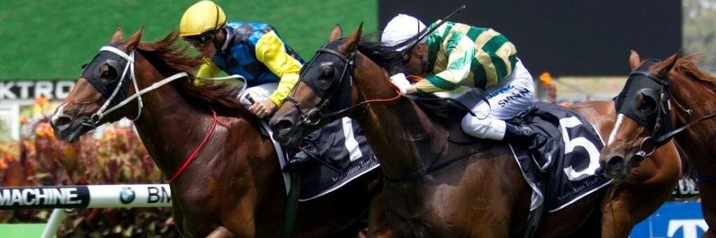 JustHorseRacing Tips banner