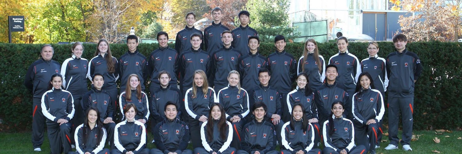 Princeton Fencing banner