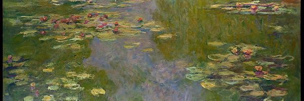 Mireia Seguí 🇵🇸 banner