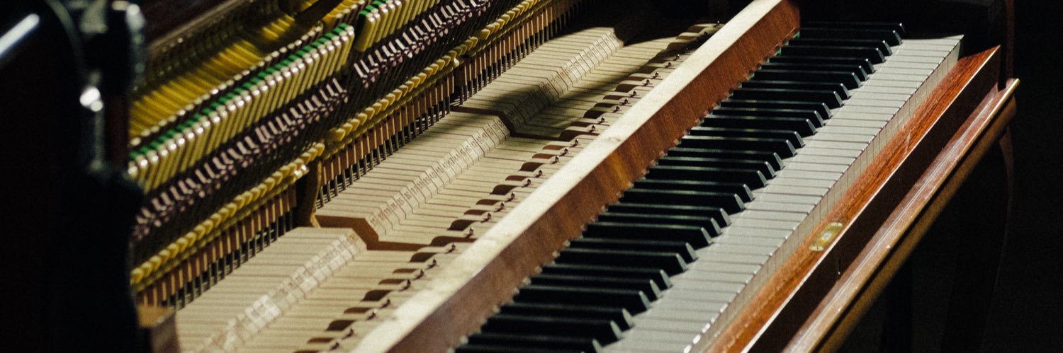 José Tomás Molina banner