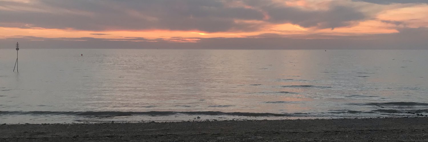 JaniceGaches's profile banner image