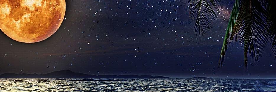 chirp143's profile banner image