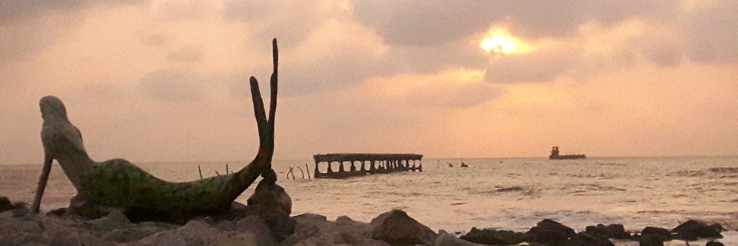 mcql's profile banner image