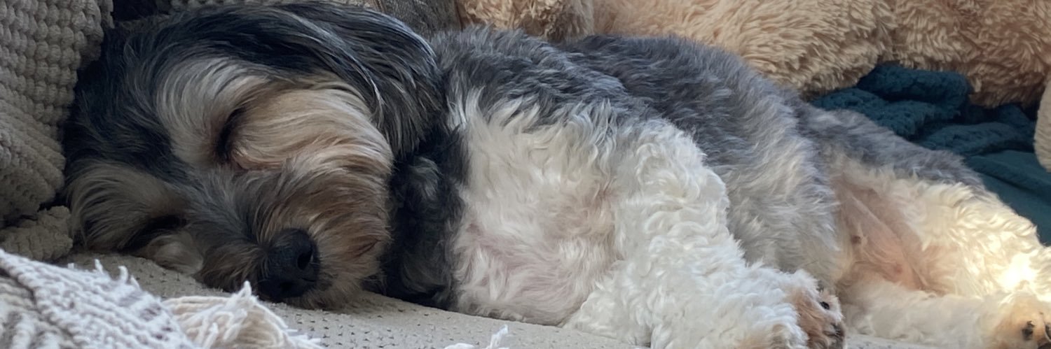 Callen Ashton banner