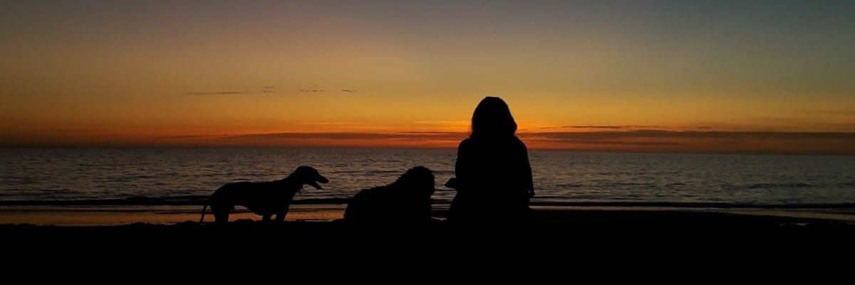mxngxlxs's profile banner image