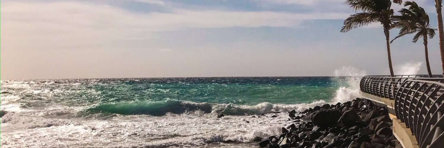 m___ona's profile banner image