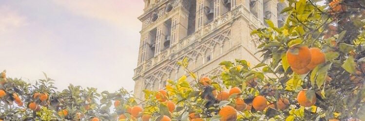 BorjaGG92's profile banner image