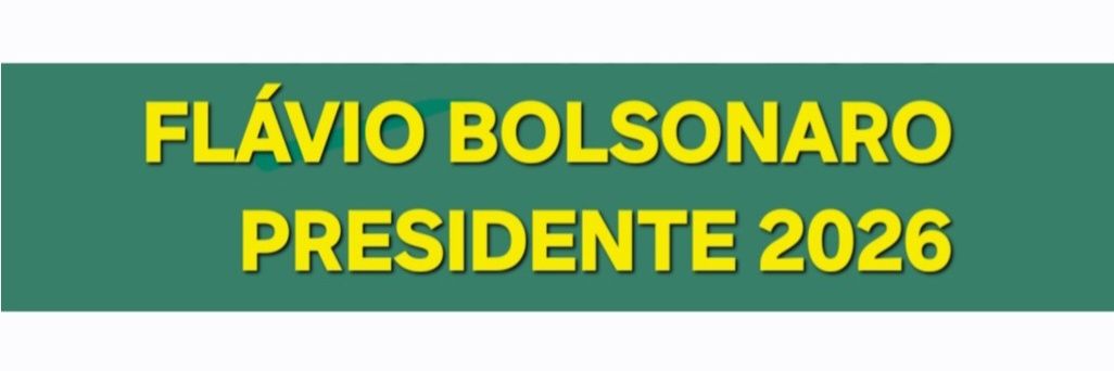 majolonog's profile banner image
