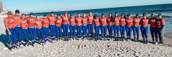 LCUSoftball Profile Banner