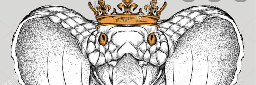 SledgeDaGod's profile banner image